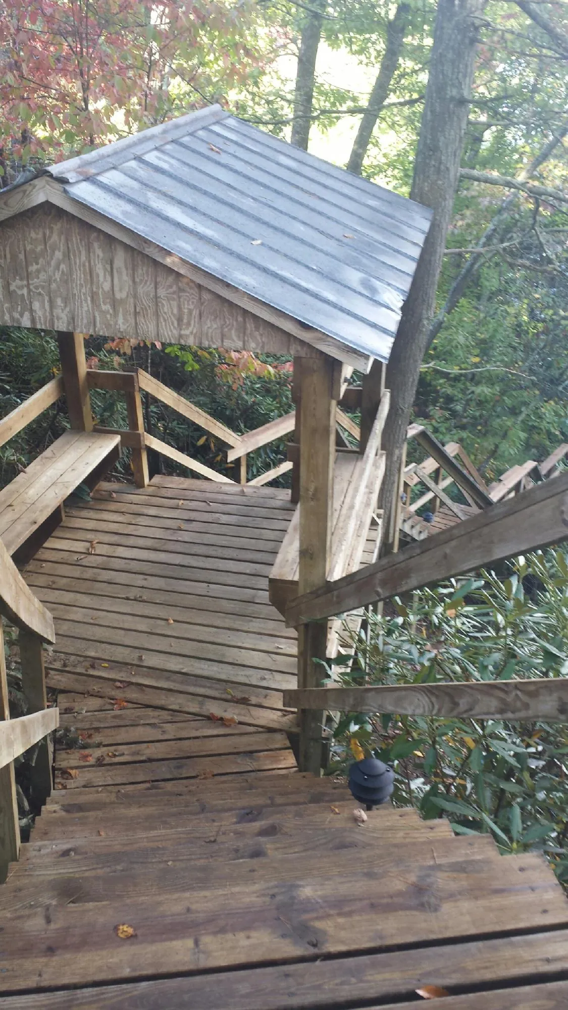 Metal roofed shelter over wooden steps on a wooded walkway — Skylight Repair & Installation work by our crew in Langley