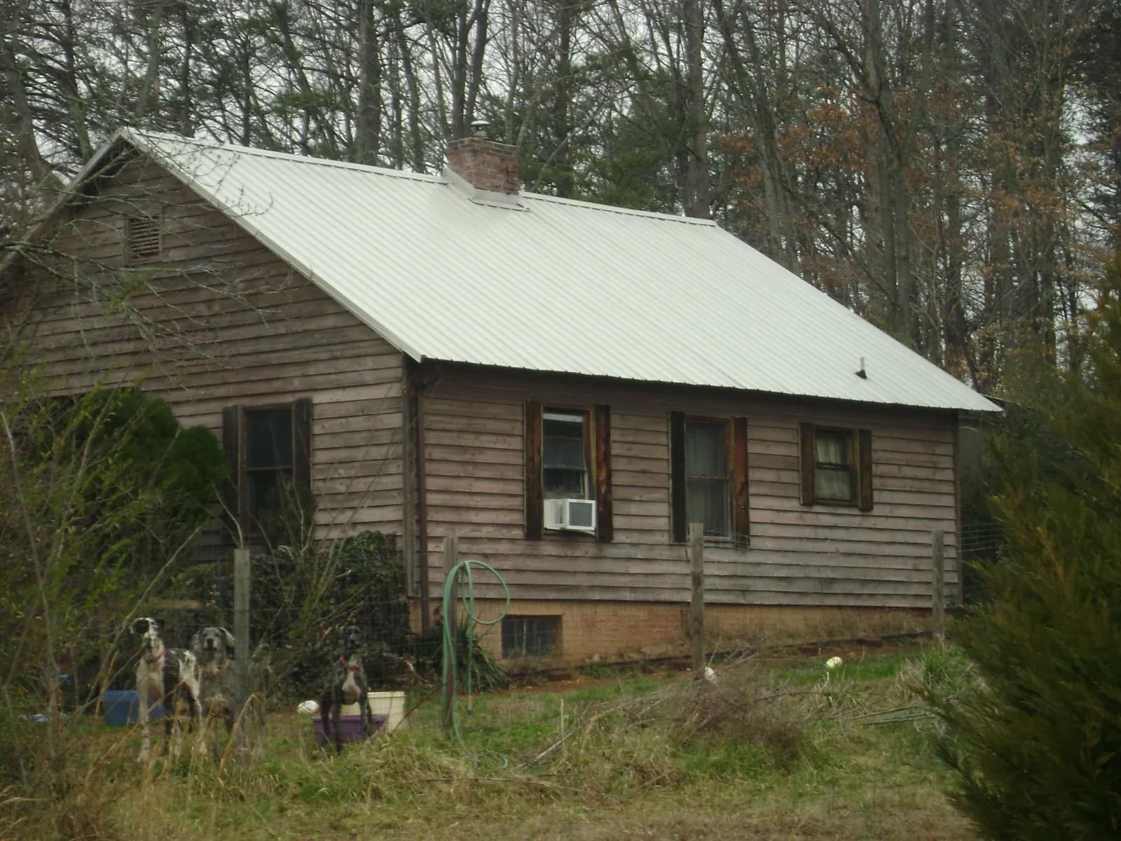 White metal roof on an old wood sided farmhouse, from a Metal Roof Installation job in Langley